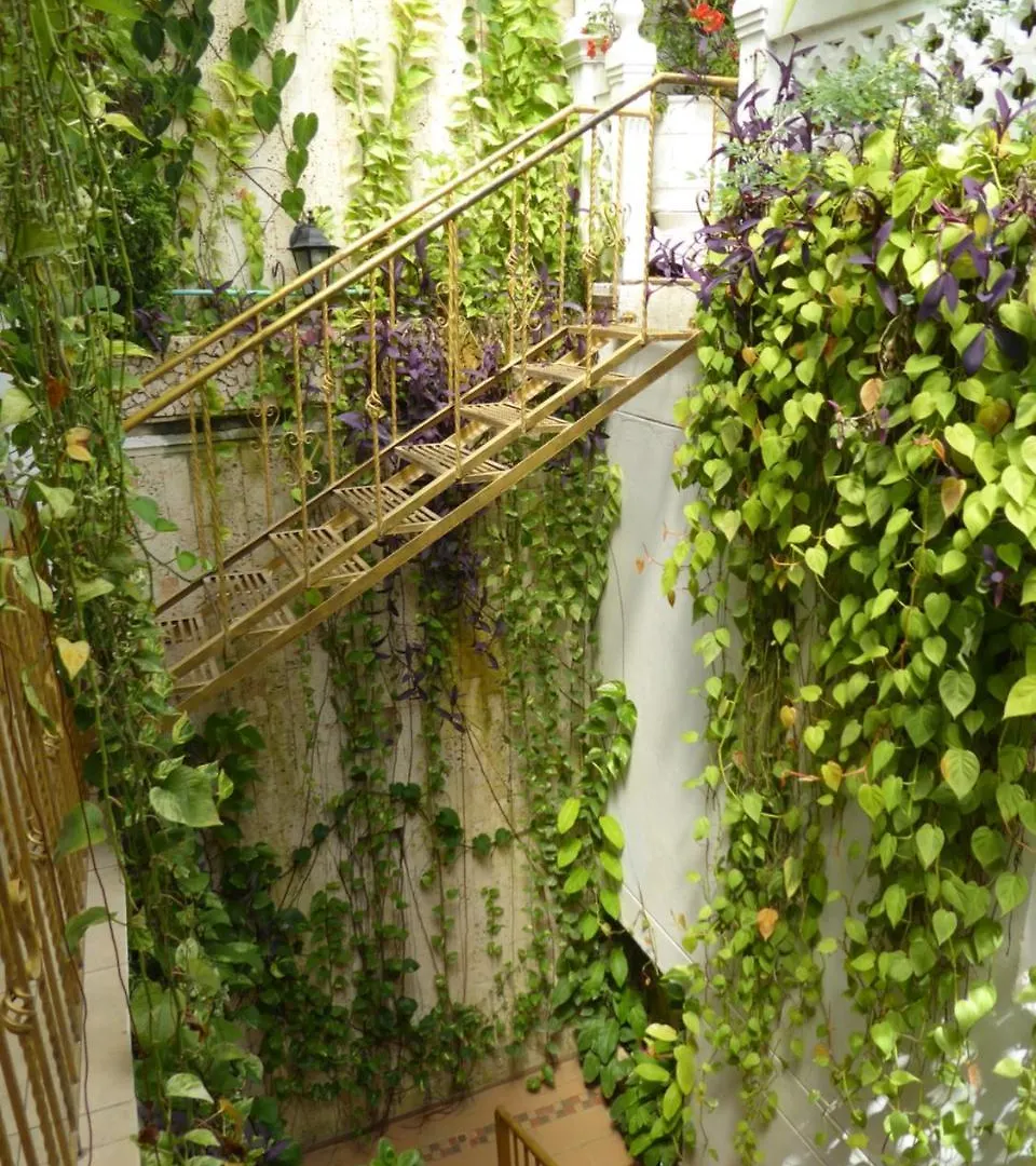 Casa Mary Hotel Cartagena